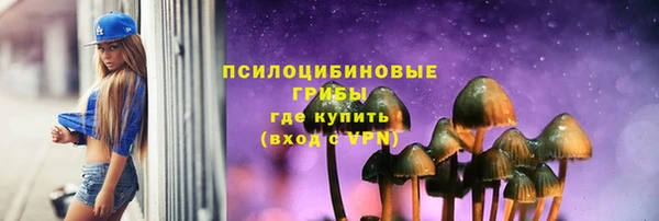 стаф Куйбышев