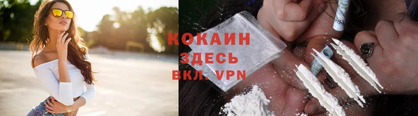гидра Краснослободск