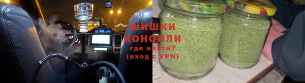 гидра Краснослободск