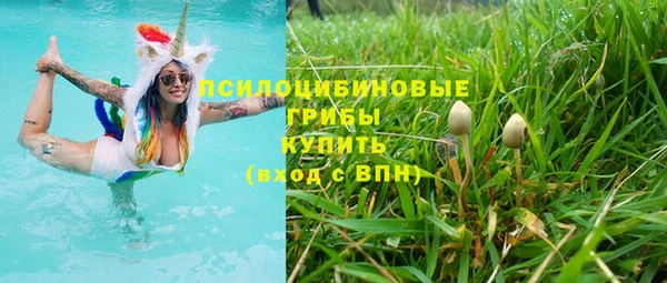 гидра Краснослободск