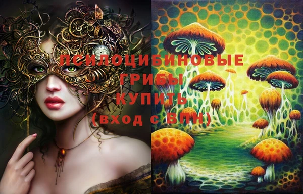 герыч Коряжма