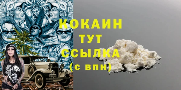 гидра Краснослободск