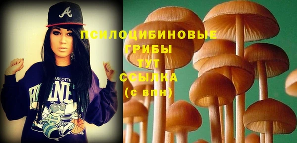 крисы Костерёво