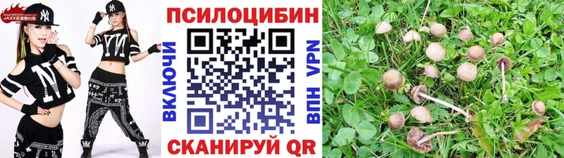 Псилоцибиновые грибы мухоморы  Купить где  Сольцы 